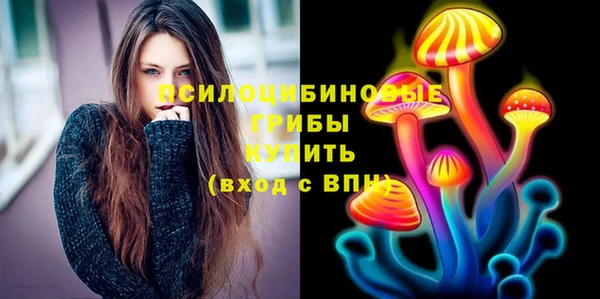 шишки Вязники